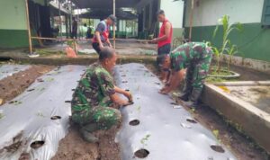 Anggota Koramil Wonosari Manfaatkan Lahan