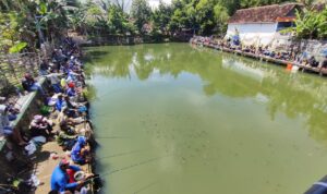 Lomba mancing ikan bawal