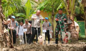 Polres Klaten Tanam Jagung Serentak Di Bayat