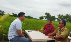 lokamerta tirtomarto cawas klaten