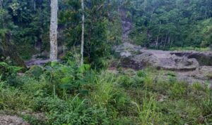 Pengelolaan sapah di Talun. Lensa Klaten.com