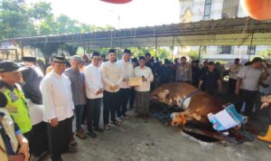 Hewan kurban presiden