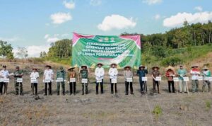 Forkopimda Klaten Lakukan Penanaman Jagung Serentak Di Krakitan