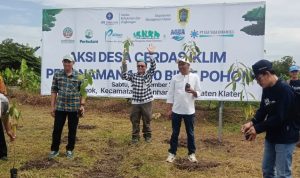 1000 Pohon Di Ponggok.lensa Klaten.com