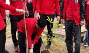 PDIP Klaten Peringati Ulang tahun Megawati