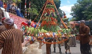 Desa jarangtalun Gelar Kirab Budaya dan sedekah bumi.